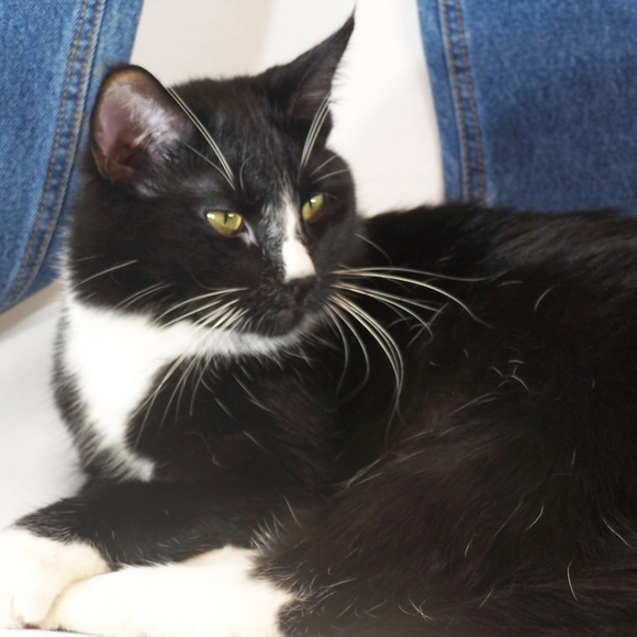 Jean's, shorts. Hats, handbags, foot wear - Picture 1 of 2